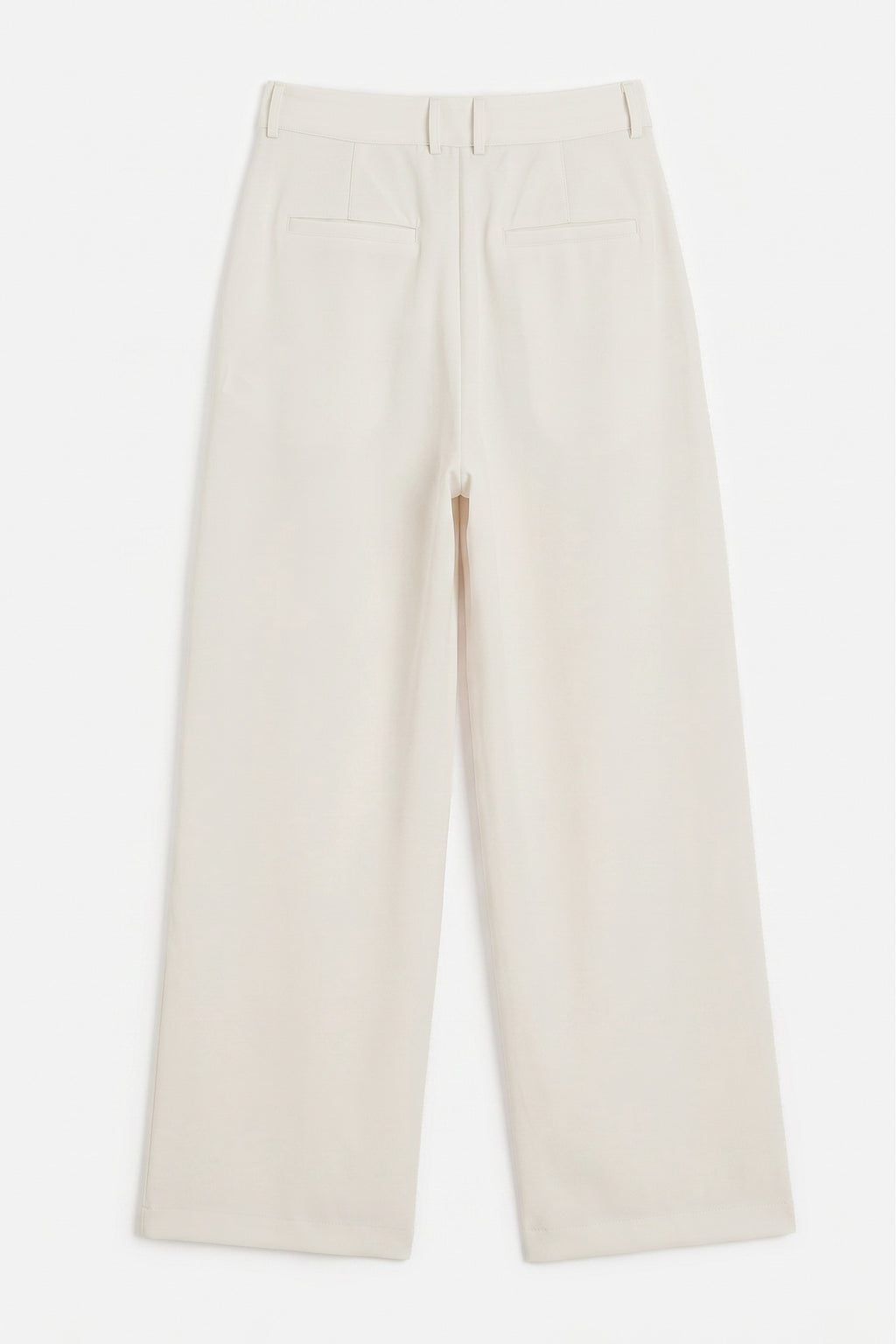 Double Pleated Wide-Leg Trousers