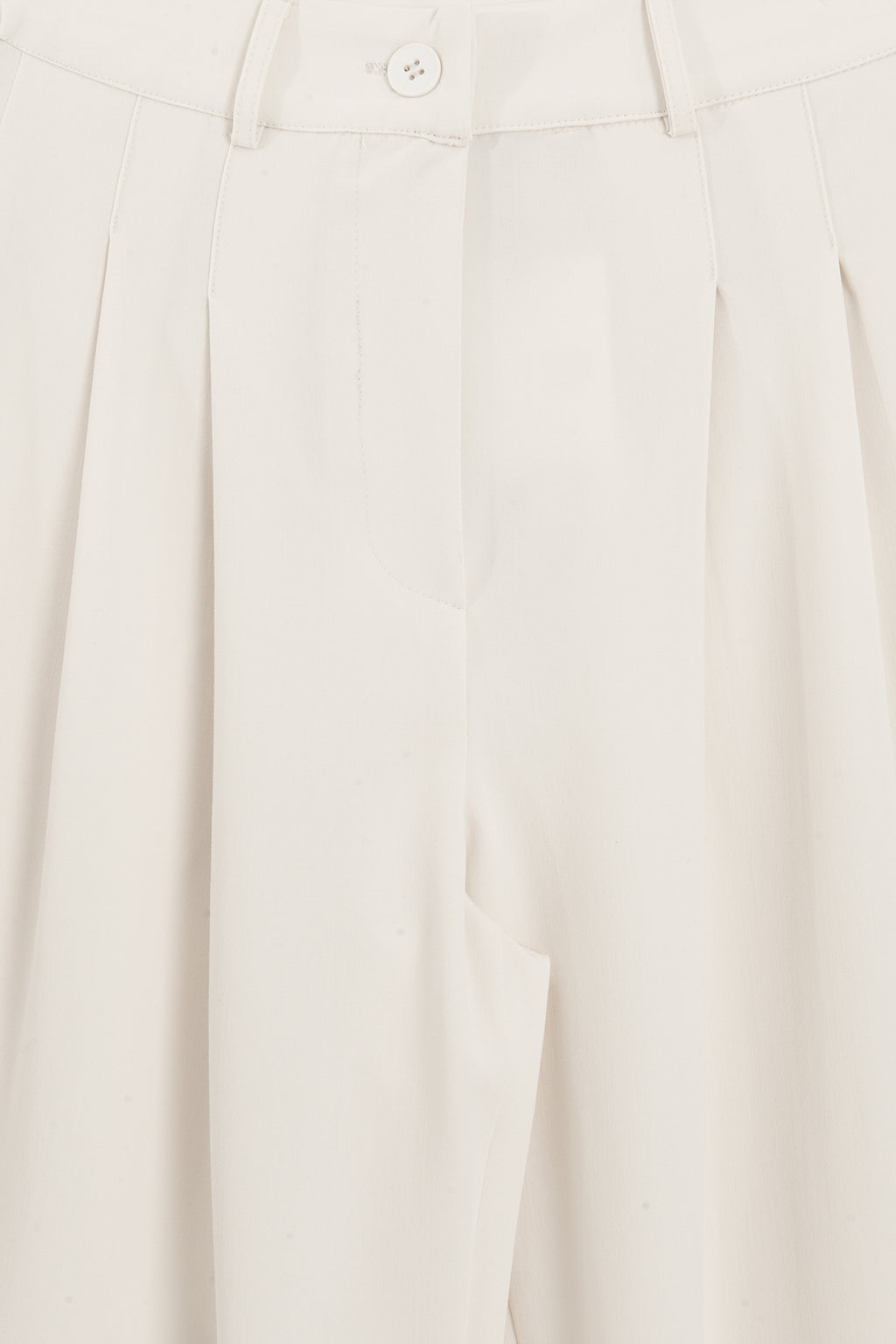Double Pleated Wide-Leg Trousers