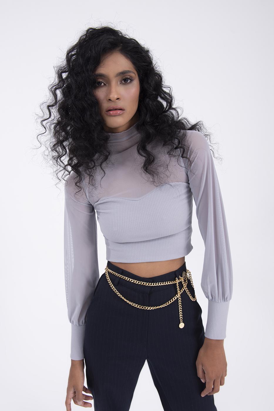 Balloon sleeve transparent blouse