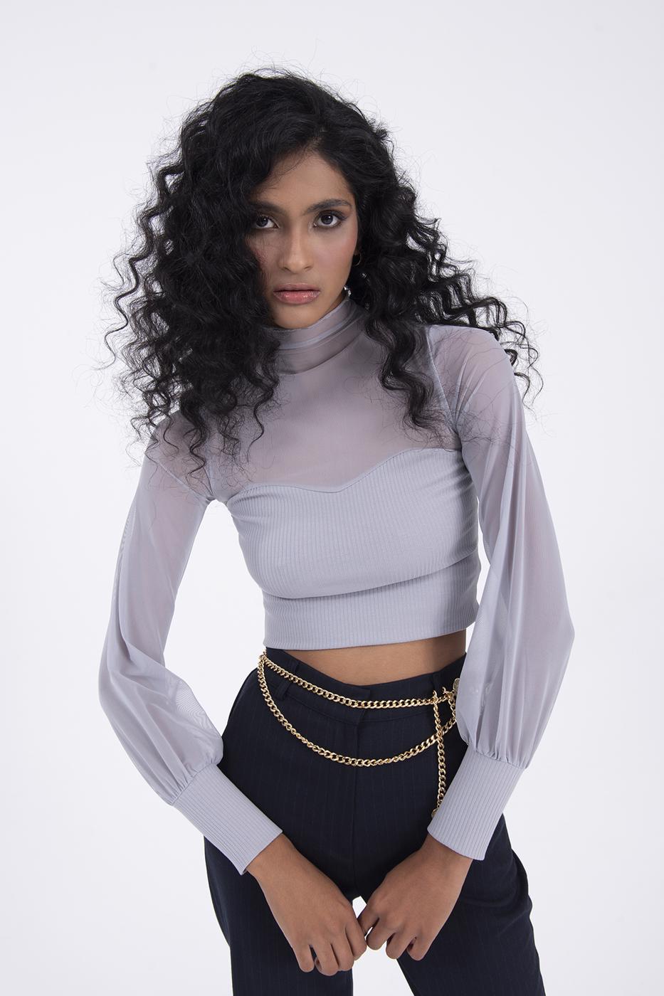Balloon sleeve transparent blouse
