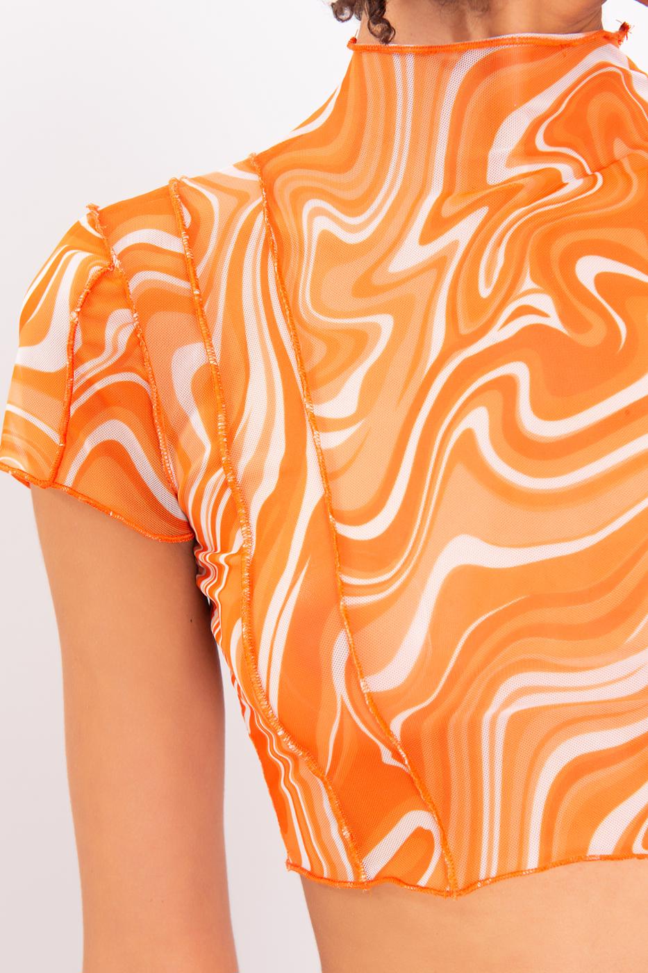 High Neck Short Sleeve Sheer Crop Top