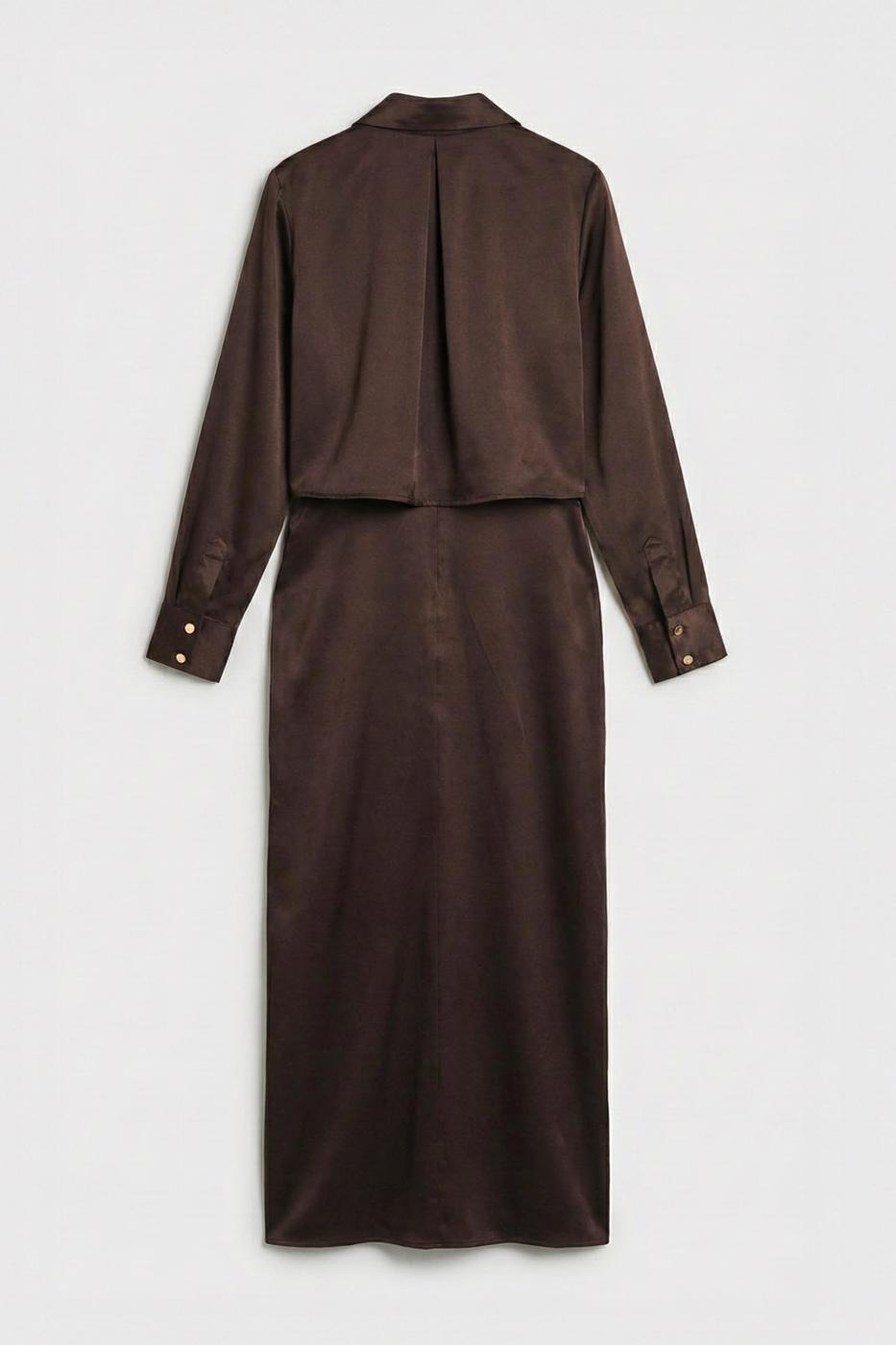 Shirt Collar Draped Satin Dress Brown