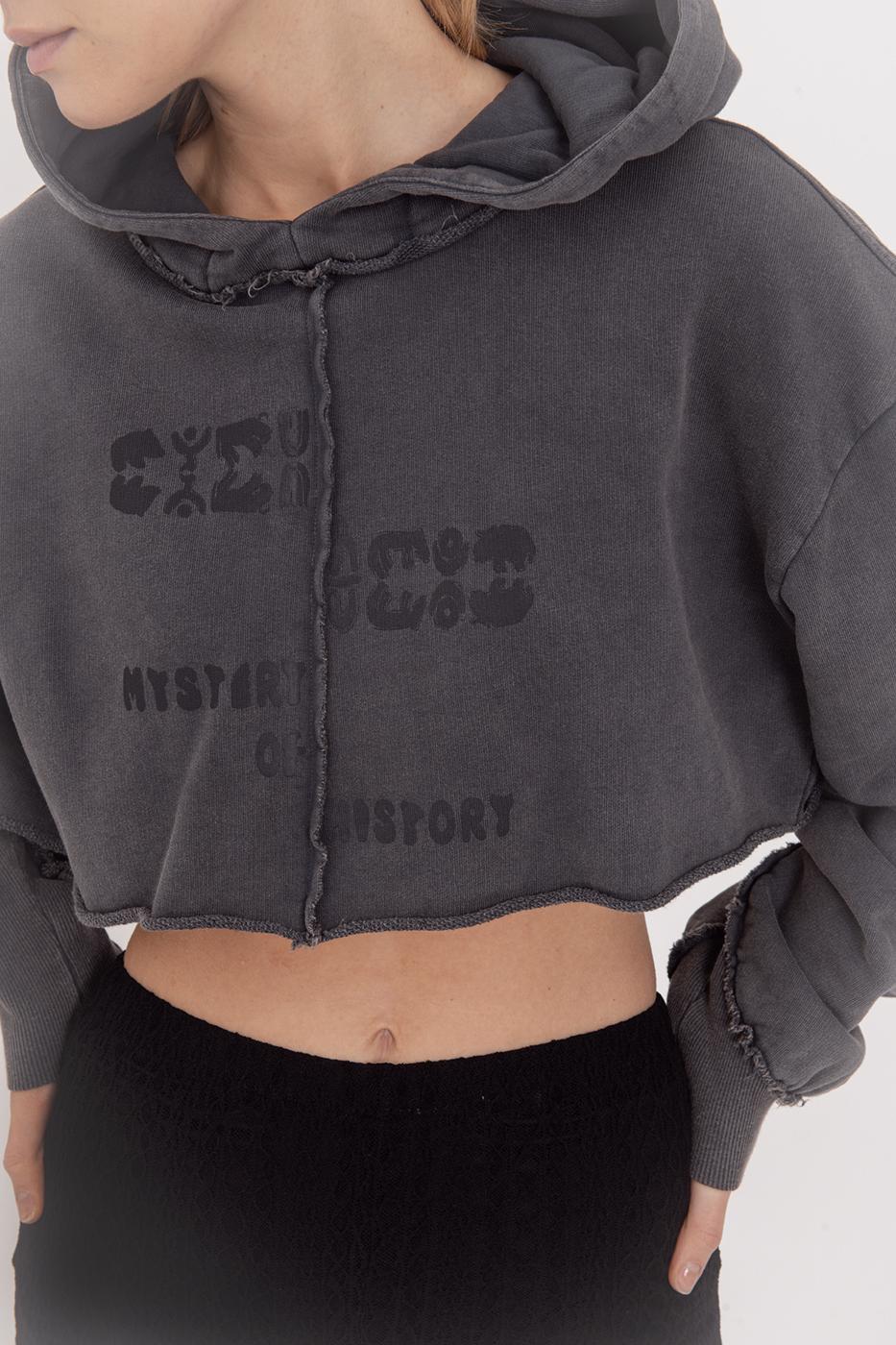 Hooded Printed Crop Sweatshirt Anthracite